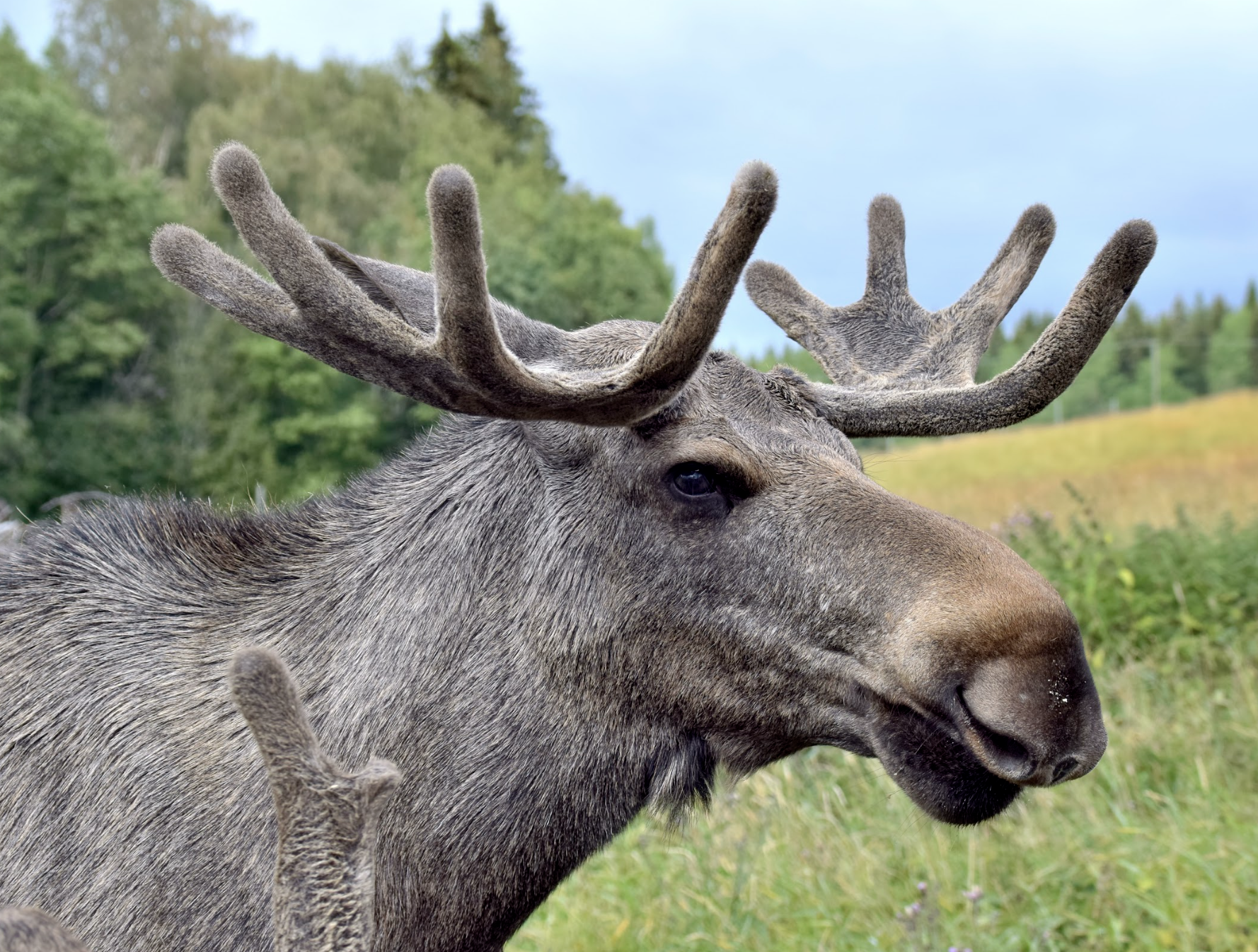 Bildschirmfoto_2025-02-04_um_15