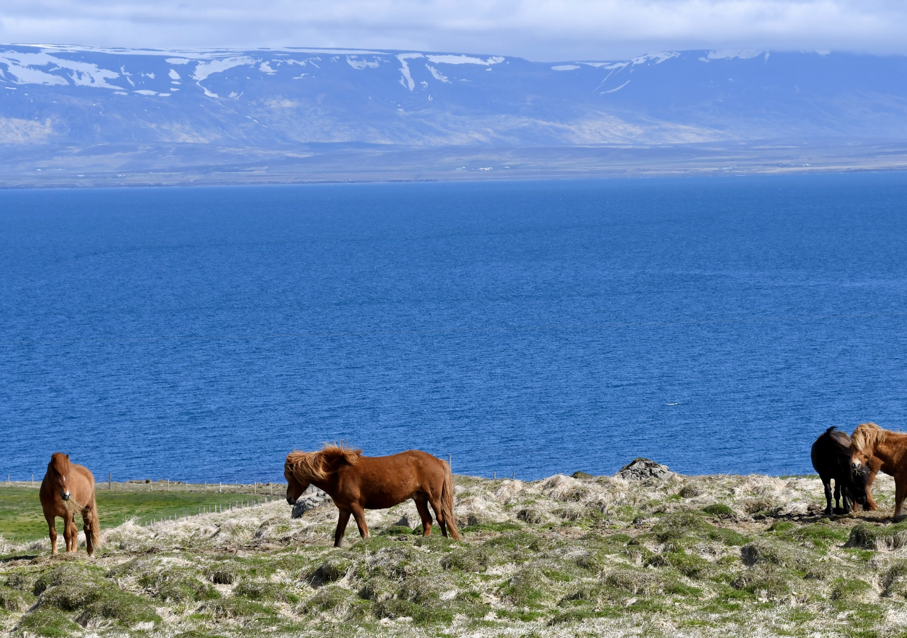 Bildschirmfoto_2025-02-04_um_15