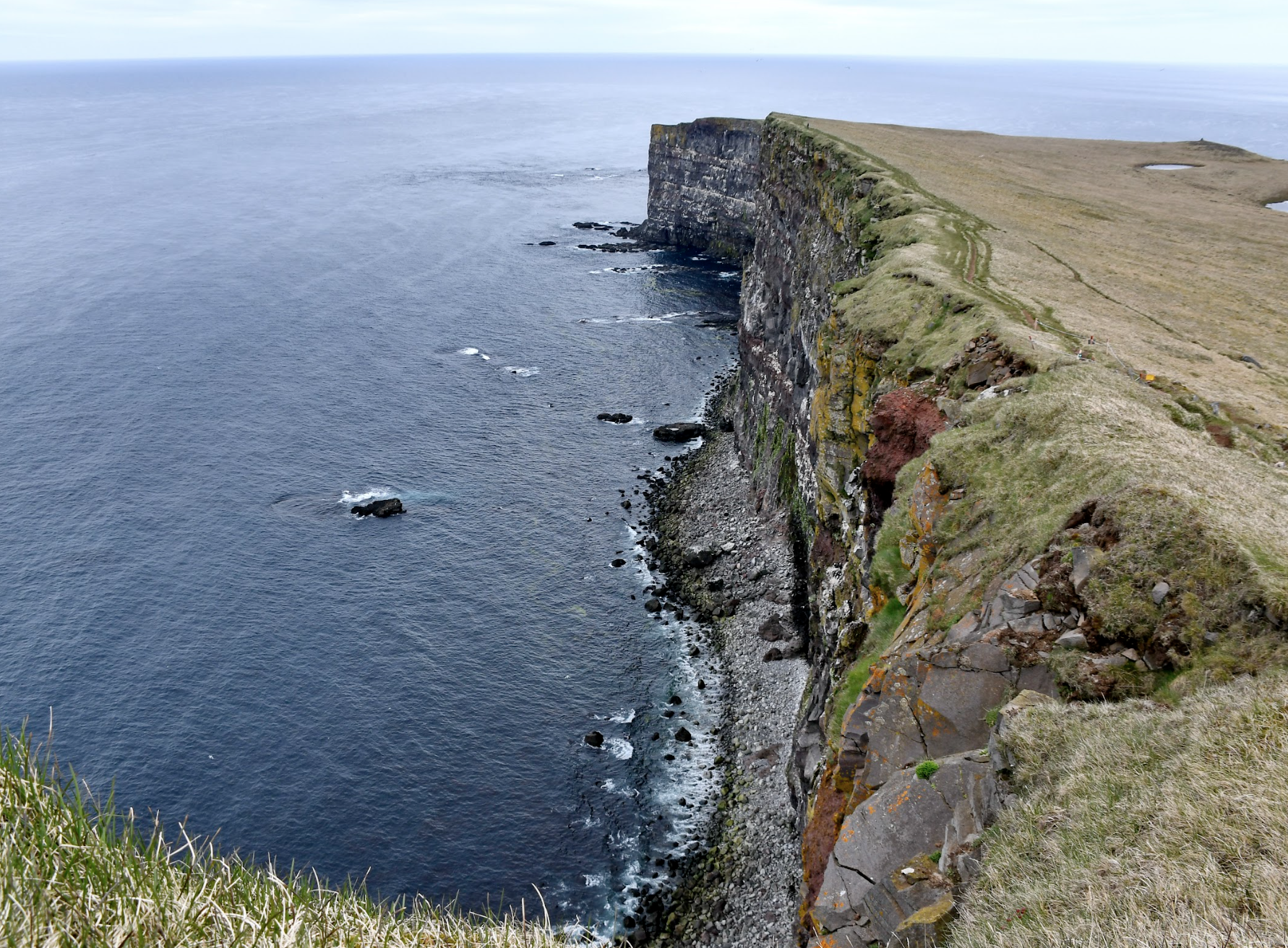 Bildschirmfoto_2025-02-04_um_15