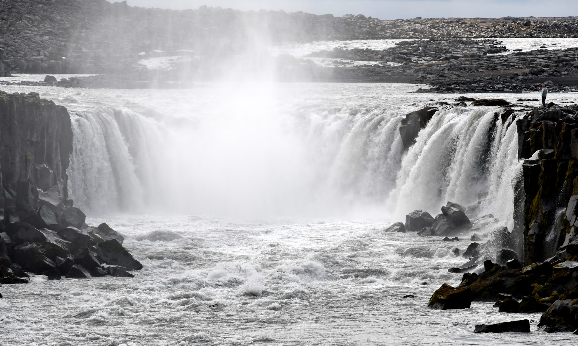 Bildschirmfoto_2025-02-04_um_15