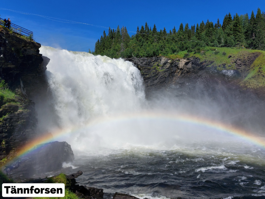 GPX-Datei: Schwedens wilde Mitte & Norwegens höchste Gipfel